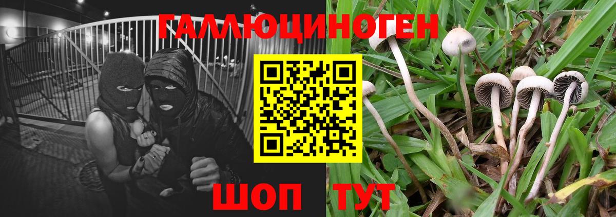 Россия  Галлюциногенные грибы ЛСД  Вход с VPN 