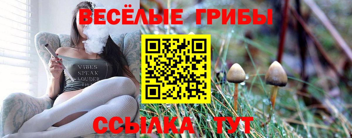 Галлюциногенные грибы Magic Shrooms Россия